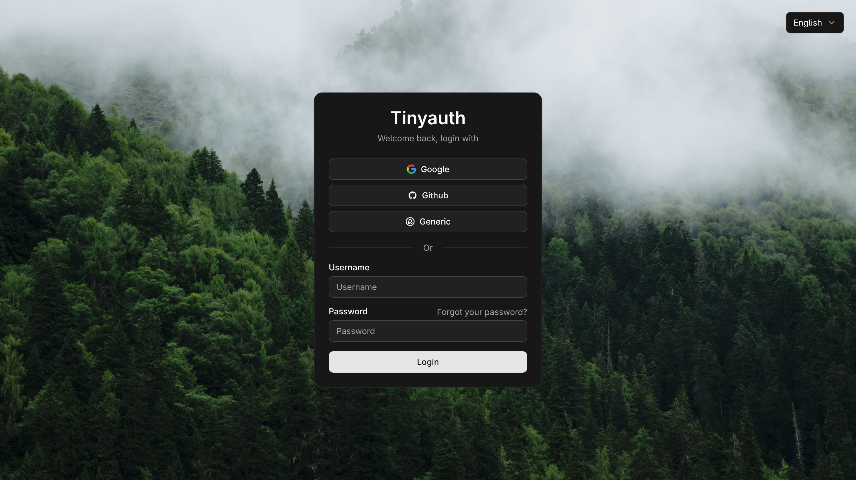 Tinyauth login screen